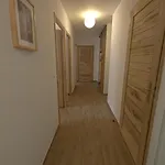 Les Freinets - Apt D201 - Bo Immobilier- Chatel Multipass Vacances Ete 2026 En Option Au Tarif De 4Euros Par Jour Et Par Personne *
